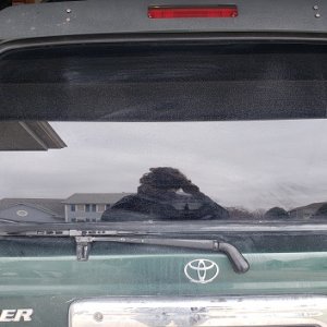 Stock Spoiler and Rear End