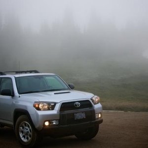 In the Olympic Mountains