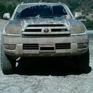 MYMUDDY4R