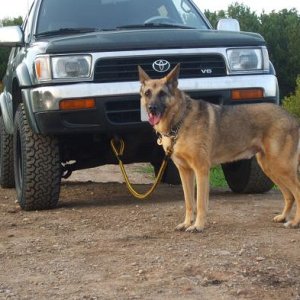92 medalist 4runner + my dog
