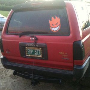 the back lookin fly