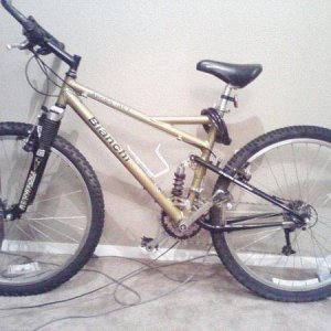 My amazing $100 dollar steal from Craigslist.