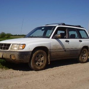 99 Forester, absolutely loved this car! Until it had its second round of ridiculously expensive motor problems. Didn't have a place to store it at the
