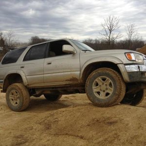wheeln at dirty turtle in kentucky