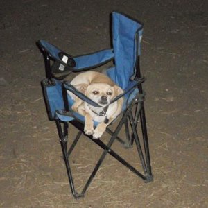 [No title]