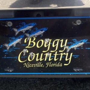 Boggy Country, Mullet bred and fed!