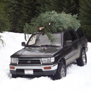 Christmas Tree Run 2011
