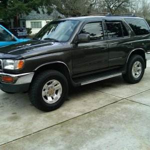 The day I brought her home