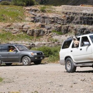 Trail Riding Colorado- The Pack: 95 4runner and 00 Land Cruiser