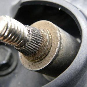 Wiper spline
