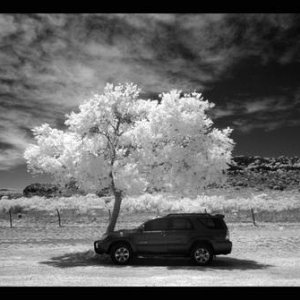 Infrared 4Runner...I photographed this in Fort Davis, TX with my modified DSLR (shoots astrophotos at night, and infrared during day).