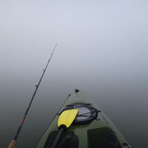 Very Foggy