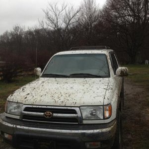 Now she needs a bath...