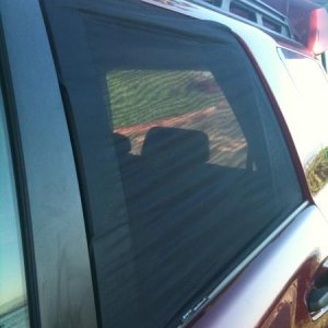 Window Sox (1of4)