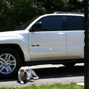 My boy Baxter guarding his ride