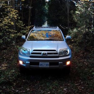 Playing in the back 40