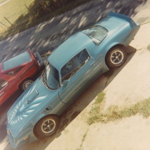'79 Trans Am, with 6.6 V8--probably the "prettiest" car I've had, and at the time, my most expensive vehicle purchase.