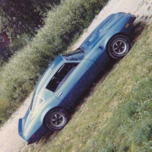 '75 Trans Am, my second car (high school hotrod).  This was the classic "one that got away", the car I should've kept--excellent car, with 400 V8, bou