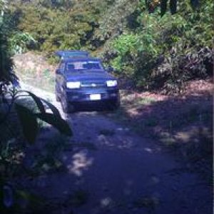 only one way to turn around, cliff on one side, wet leaves, wet DG and crumbing road. Why do you need 4WD they ask.