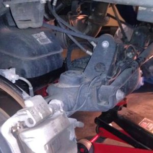 rear springs and bump-stops removed