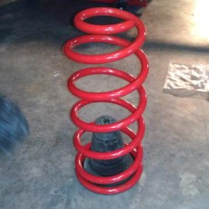 new rear spring with bump-stops