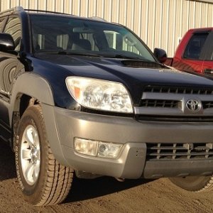 The day I bought her