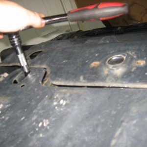 20120207 003 (Large)
