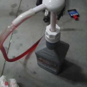 20120207 009 (Large)