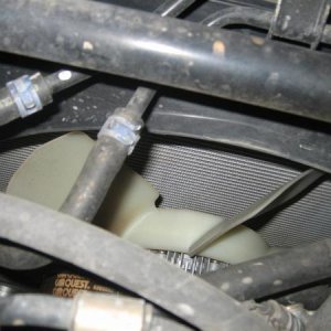 20120207 015 (Large)