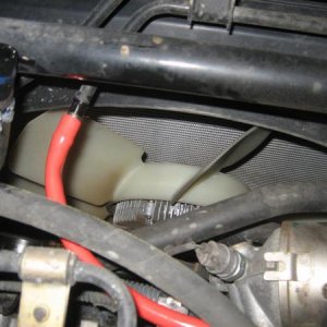 20120207 024 (Large)