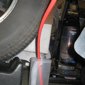 20120207 025 (Large)