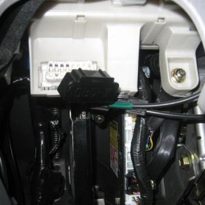 20120207 034 (Large)