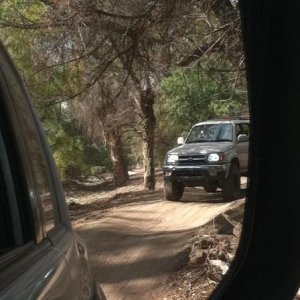 IMG 0276