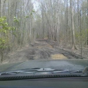 Thru the woods!