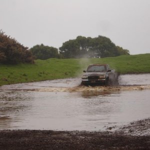 DSC03036