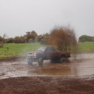 DSC03031