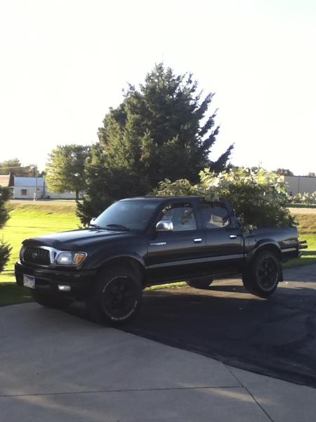 01 Taco