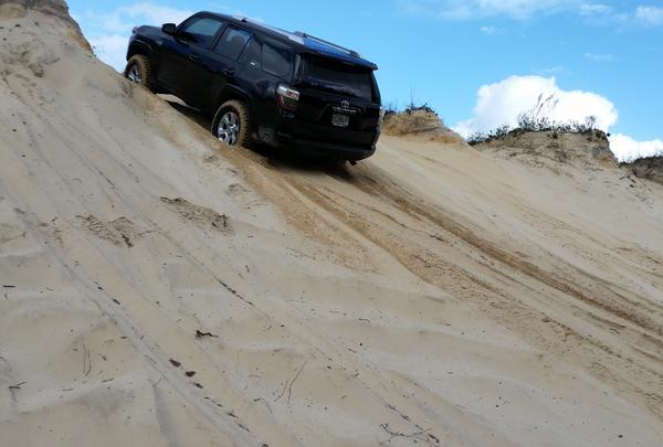 1/5/16 Playing in the sand box