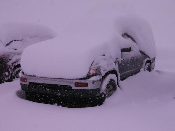 1 days snow at Alta Utah!