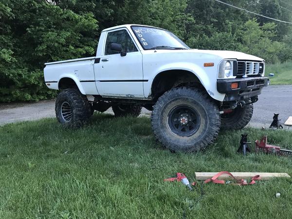 1981 hilux