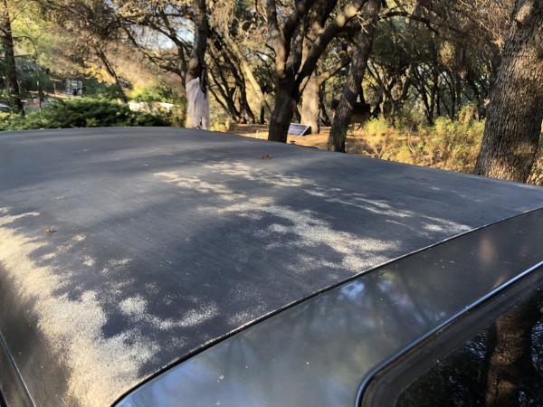 1988 Grey, Shell roof needs to be repainted with rugged paint.  I can do it or the new owner can.