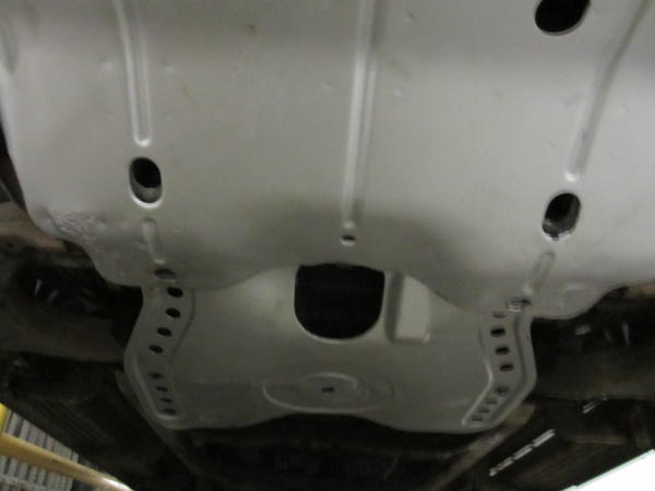 1st Official Mod - Painted Skids