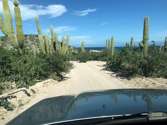 2 Beach.BajaSur