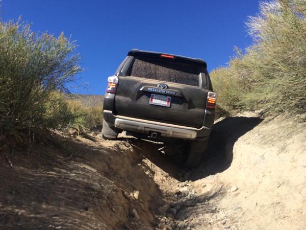 2 wheeling!