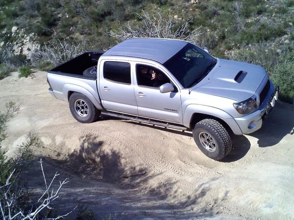 2008 Taco
