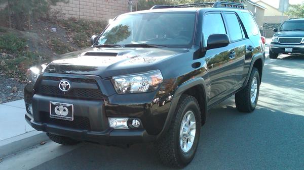 2010 TE