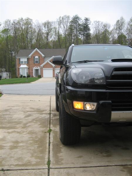 20110410 009 (Medium)