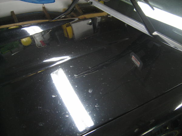 20120206 005
