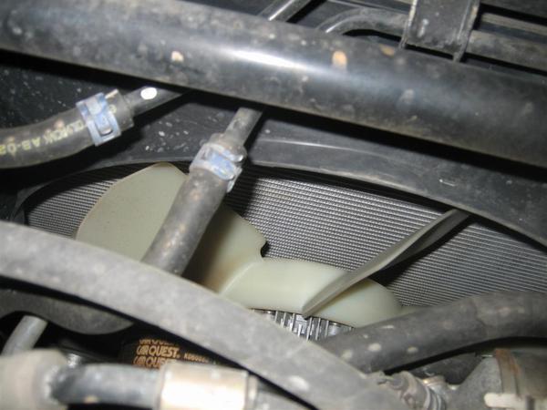 20120207 015 (Large)