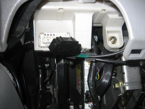 20120207 034 (Large)
